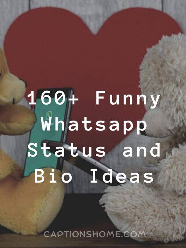 Funny Whatsapp Status and Bio Ideas