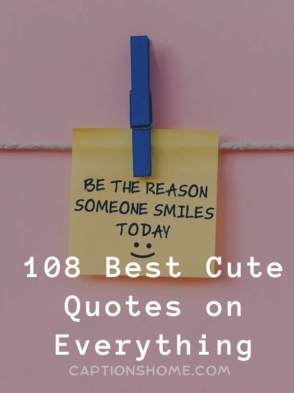 Best Cute Quotes on Everything