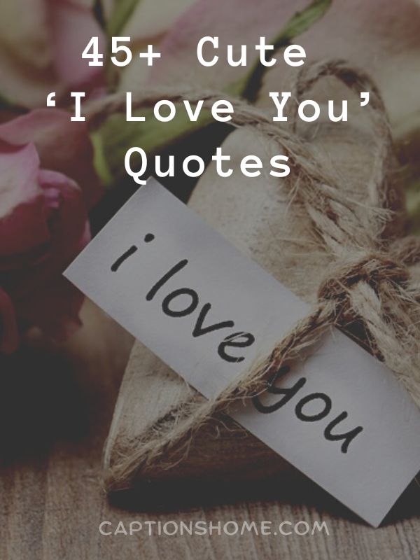 45+ Cute I Love You Quotes - Captions Home